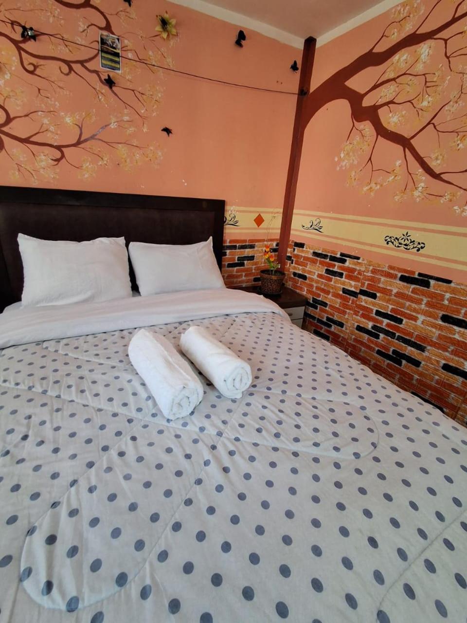 Backpacker Homestay Oruro